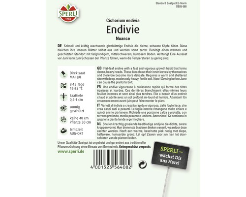 Endiviensamen der Sorte Nuance