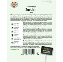 Zucchini Quine Sperli Hybrid-Saatgut Gemüsesamen