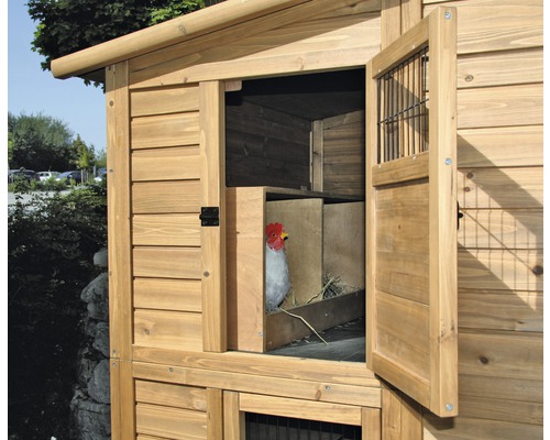 Hühnerstall aus Holz mit offenem Fenster und Huhn im Inneren