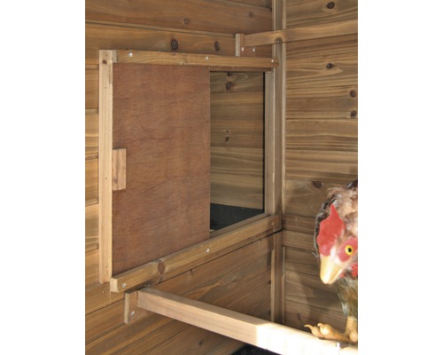 Detailansicht eines Hühnerstalls mit einer teilweise geöffneten Holztür und einer Stange