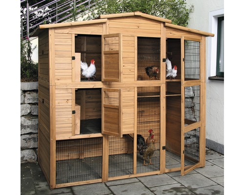 Großer Hühnerstall aus Holz mit mehreren Hühnern