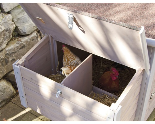 Hühnerstall mit zwei Hühnern im Inneren.