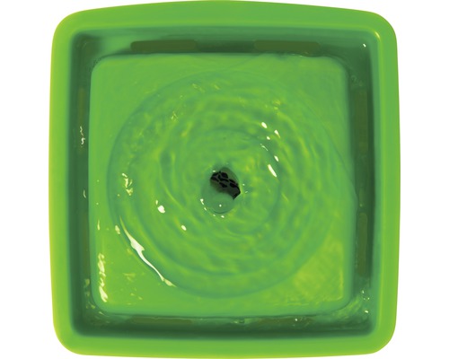 Grüner Zimmerbrunnen mit Wasser