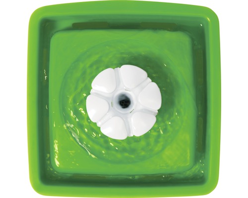 Trinkbrunnen für Haustiere mit Pumpe in grüner Schale