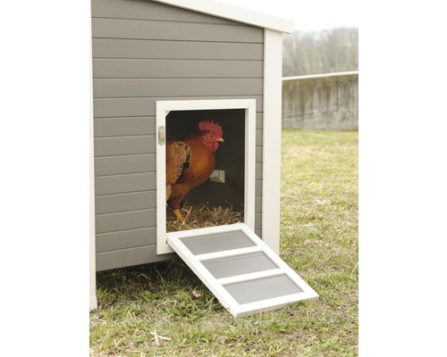 Hühnerstall mit offenem Eingang und Hühnertreppe
