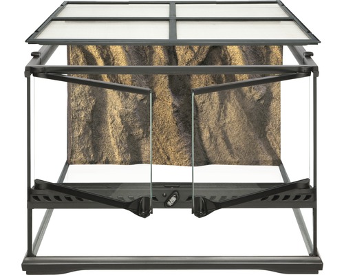 Terrarium mit Glasfront und felsiger Rückwand