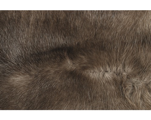 Nahaufnahme von Tierfell für Heimtextilien