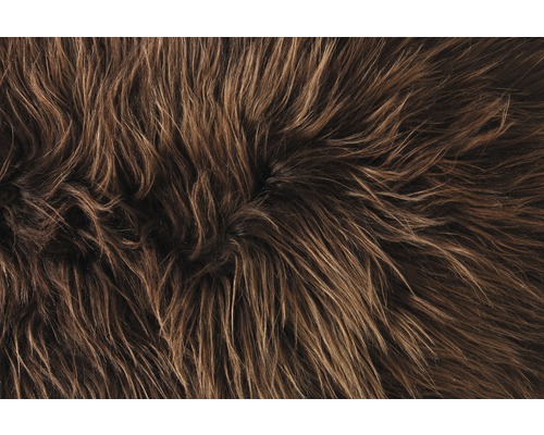 Nahaufnahme eines Teppichs mit langen Fasern