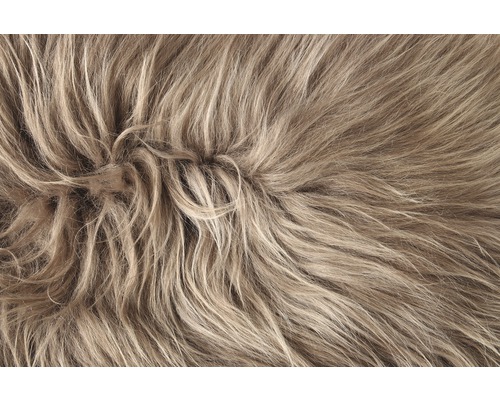 Nahaufnahme eines zotteligen Teppichs