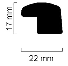 Profilleiste mit den Maßen 17 mm Höhe und 22 mm Breite