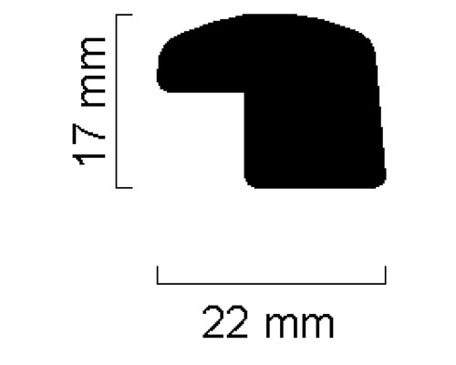 Profilleiste mit den Maßen 17 mm Höhe und 22 mm Breite