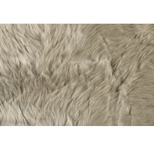 Detailansicht eines Teppichs mit langem Flor