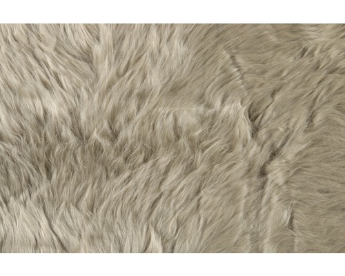 Detailansicht eines Teppichs mit langem Flor