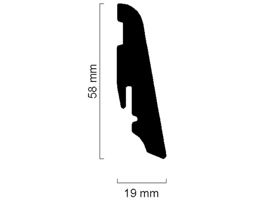 Profilquerschnitt mit Abmessungen 58 mm und 19 mm