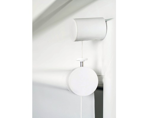 Rollo mit Kettenzugmechanismus für Fenster