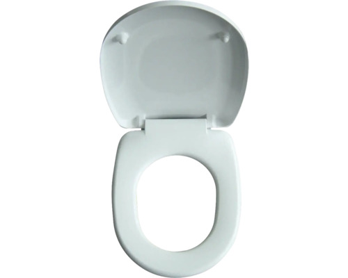 Toilettendeckel aus Kunststoff