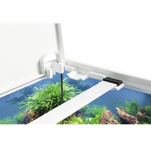 Aquarium EHEIM aquastar 54 mit LED-Beleuchtung, Innenfilter, Heizer, Thermometer ohne Unterschrank weiß-thumb-2