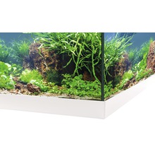 Aquarium EHEIM aquastar 54 mit LED-Beleuchtung, Innenfilter, Heizer, Thermometer ohne Unterschrank weiß-thumb-3