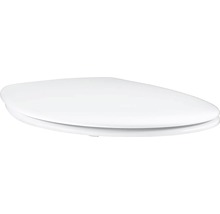 Toilettensitz aus Sanitärkeramik