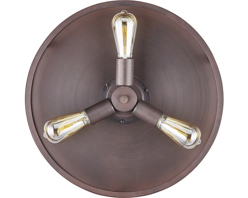 Deckenleuchte mit drei Leuchtmitteln im Vintage-Stil