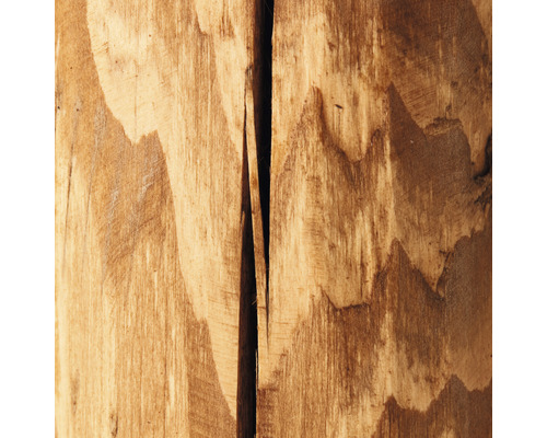 Tischleuchte Holz 1-flammig HxØ 150x100 mm Trabo kiefer | HORNBACH