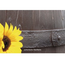 Regenspeicher ARVES Barrique 250 l dunkelbraun