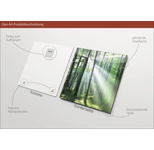Glasbild mit Waldmotiv, inklusive Aufhängung und Abstandshalter