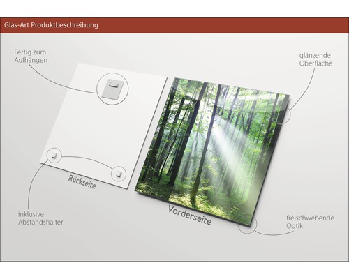 Glasbild mit Waldmotiv, inklusive Aufhängung und Abstandshalter