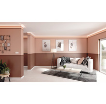 Deckenleiste B5 1 St. 2 m x 50 x 50 mm