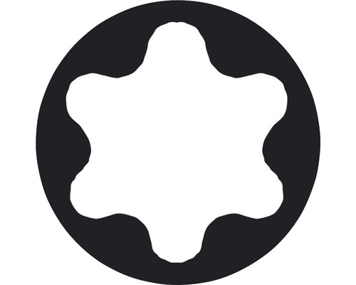 Torx Schraubenprofil