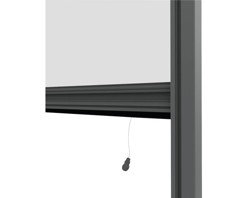 Rollo mit Zugschnur am Fenster