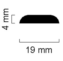 Profilquerschnitt mit den Maßen 19 mm Breite und 4 mm Höhe