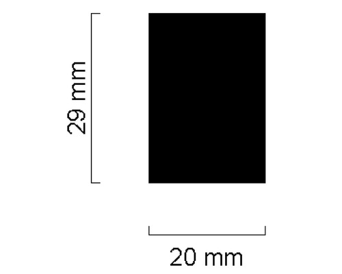 Illustration einer rechteckigen Form mit den Maßen 29 mm x 20 mm.