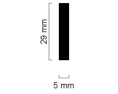 Abmessungen: 29 mm x 5 mm