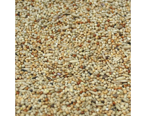 Nahaufnahme von Vogelfutter