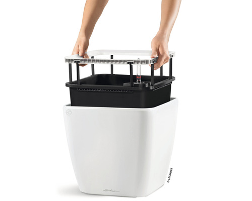 Bewässerungssystem für Pflanzen mit Wasserstandsanzeige und Pflanzeinsatz