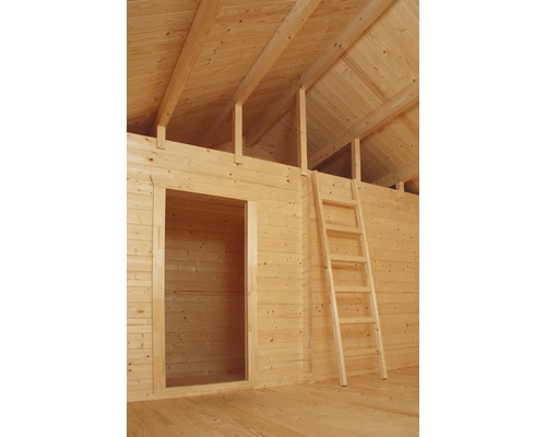 Innenansicht eines Holzhauses mit Leiter und Türöffnung