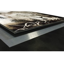 Aluminiumverbundplatte mit Motivdruck