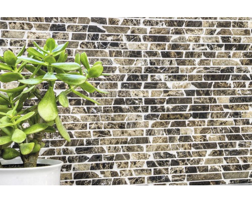 Wandfliesen mit Steinmuster und grüner Zimmerpflanze im Topf