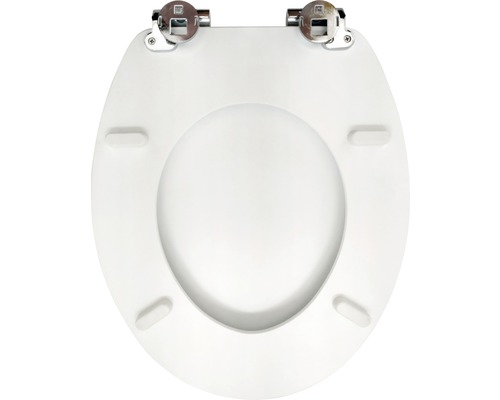 Toilettendeckel mit Chrombeschlägen