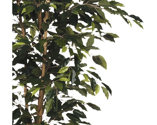 pflanztopf frostsicher Mobiler Pflanztopf XXL  Gardapura