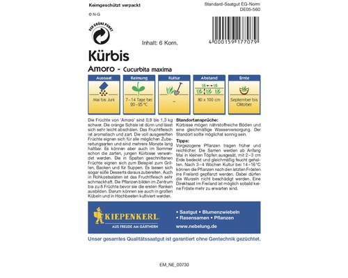 Kürbis Amoro Saatgutpackung