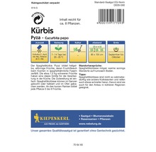 Kürbis 'Pyza' Kiepenkerl Gemüsesamen-thumb-1