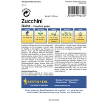Zucchini 'Quine' Kiepenkerl Gemüsesamen
