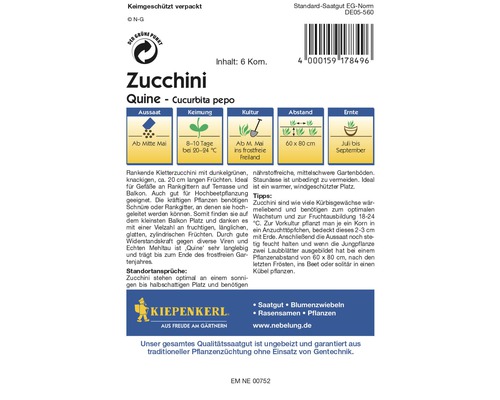 Zucchinisamen der Sorte Quine