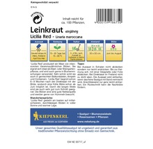 Leinkraut 'Licilia Red' Kiepenkerl Blumensamen-thumb-1