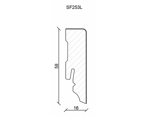 Schnittzeichnung des Profils SF253L mit Abmessungen