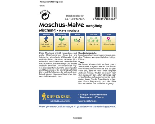 Moschus Malve mehrjährig Samenpackung