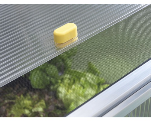 Detailaufnahme eines Frühbeetfensters mit Lüftungseinstellung