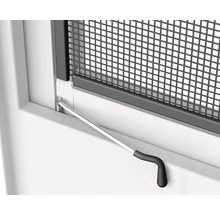 Insektenschutz home protect Magnet-Rahmenfenster ohne Bohren anthrazit  100x120 cm - HORNBACH